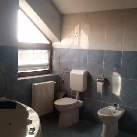 Guest house Cristalex Villaverde Bucharest *